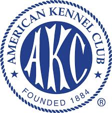 AKC Registered